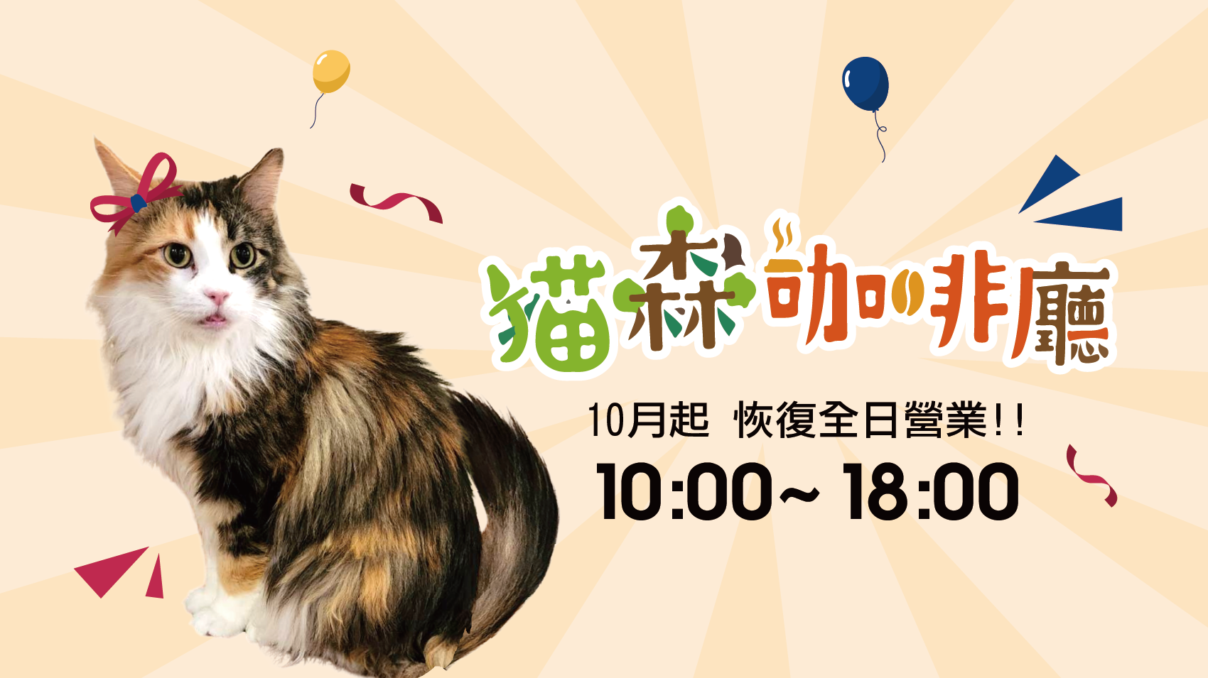 貓森咖啡廳  貓奴專屬